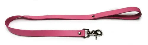 Pink dog leash with metal clasp and snap hook