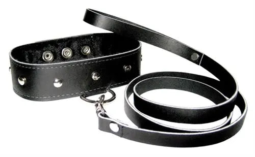 Black leather dog collar and matching leash set with metal D-ring and buckles