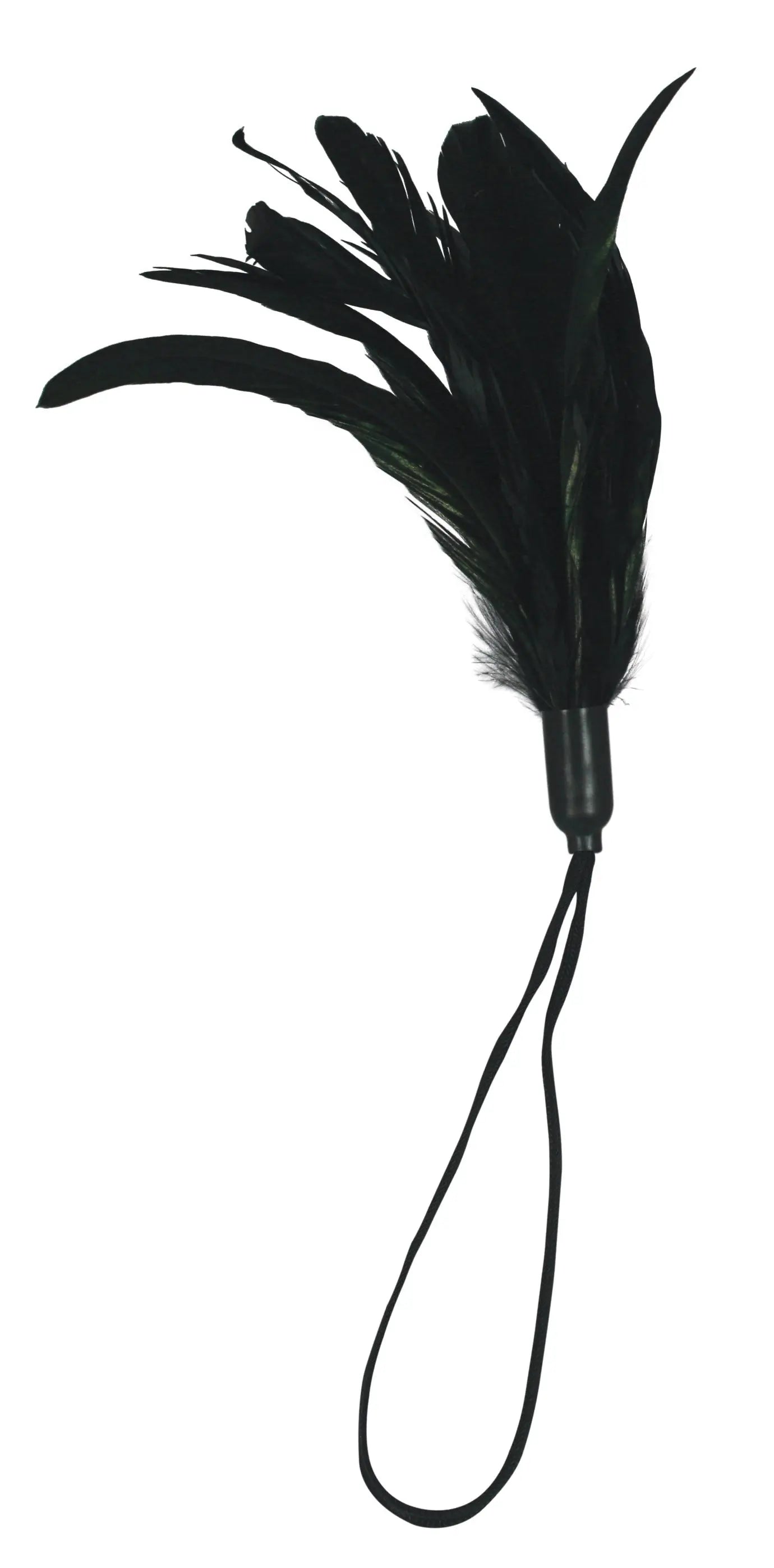 Black feather with two dangling ribbon ties
