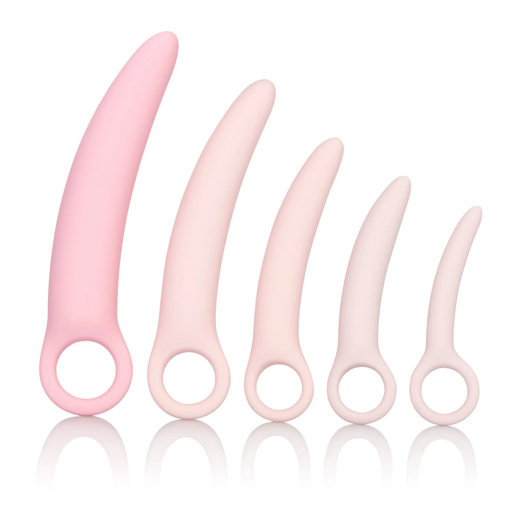 Inspire Silicone Dilator Kit - 5 Piece Set – body-safe silicone | Fu'Cha Exotics