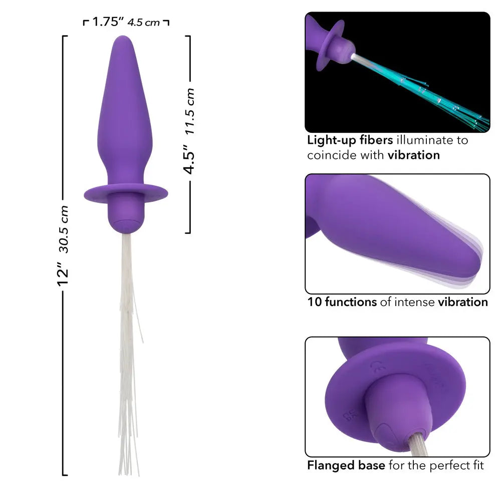Southern Lights - Vibrating Light Up Anal Probe - Purple – body-safe materials | Fu'Cha Exotics