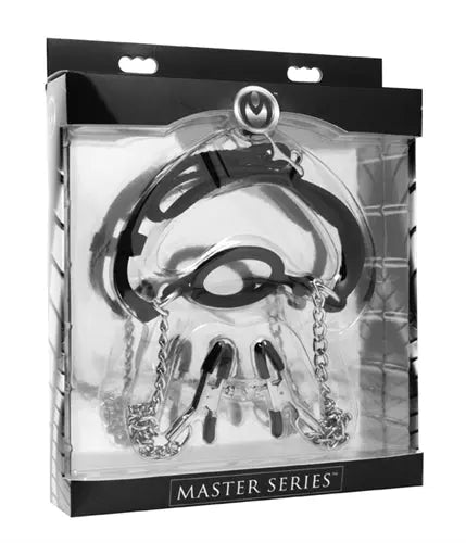 Silicone O-ring gag with metal rings and chain nipple clamps in package