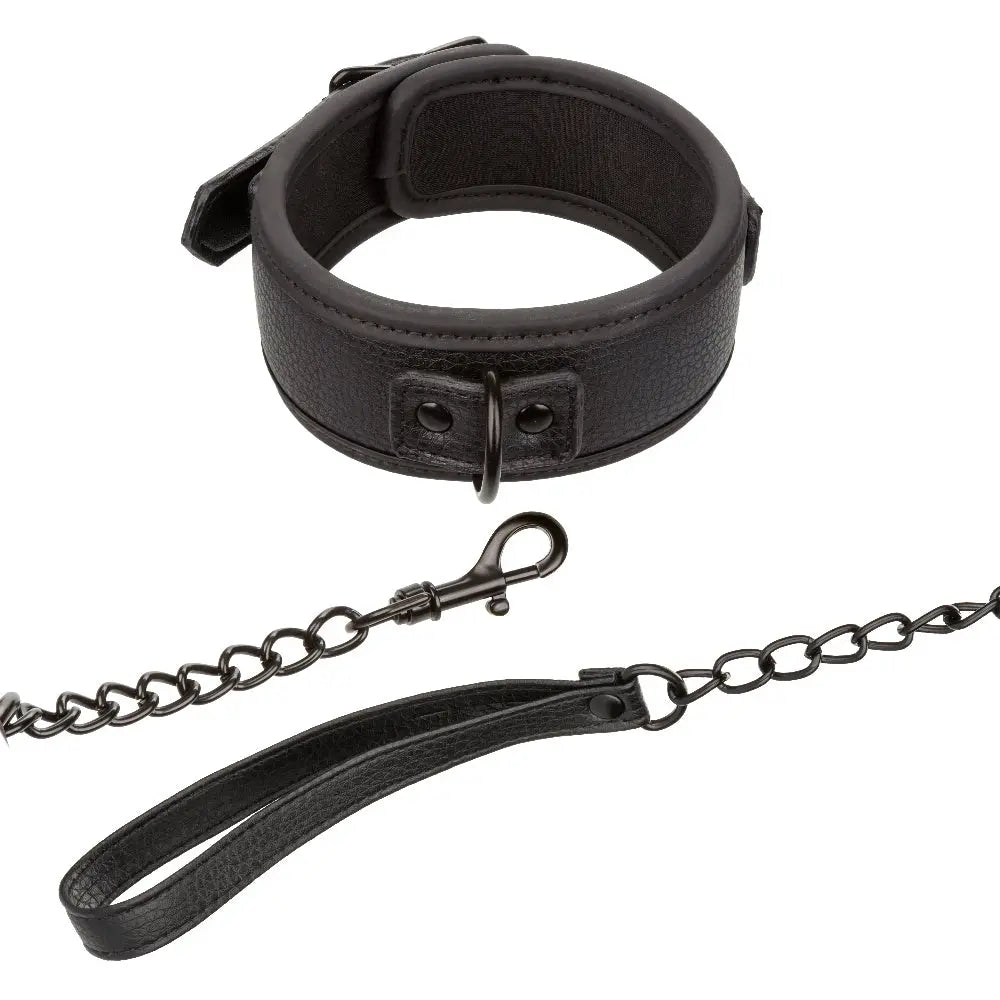 Nocturnal Collection Collar and Leash - Black – body-safe materials | Fu'Cha Exotics