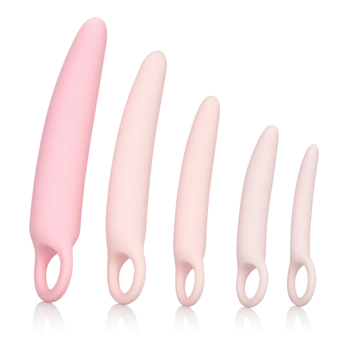 Inspire Silicone Dilator Kit - 5 Piece Set – body-safe silicone | Fu'Cha Exotics