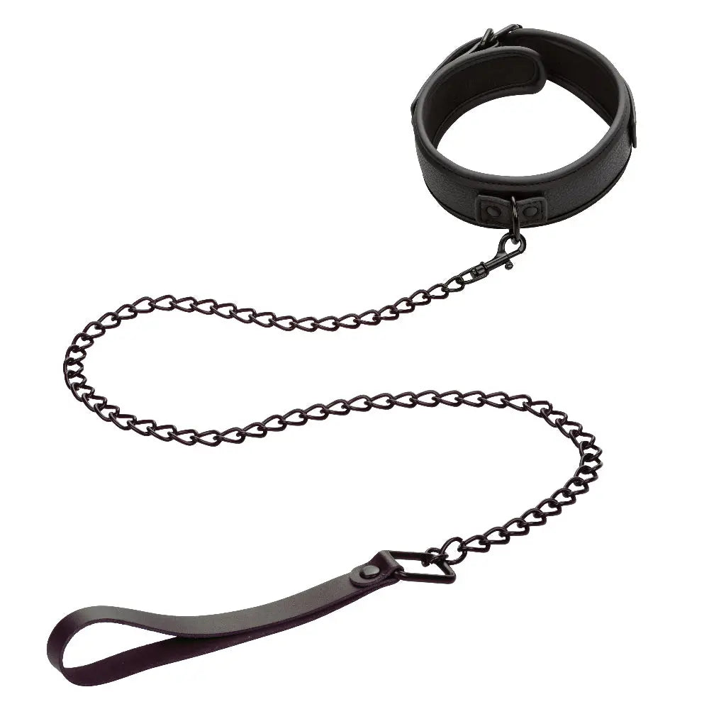 Nocturnal Collection Collar and Leash - Black – body-safe materials | Fu'Cha Exotics