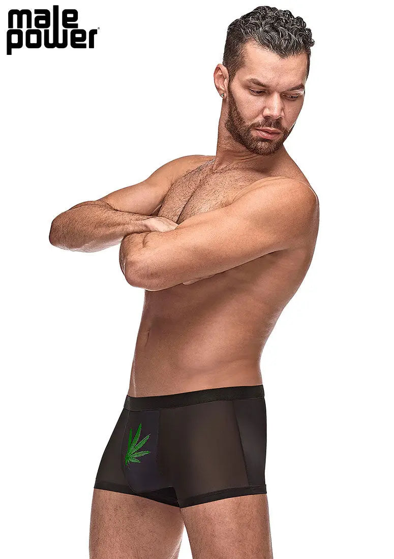 Private Screening Pot Leaf Pouch Short Black – body-safe materials | Fu'Cha Exotics