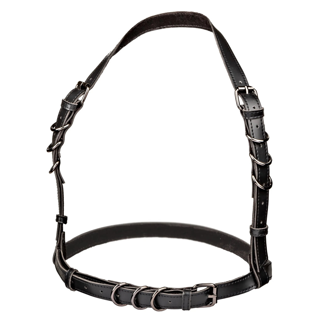 Euphoria Collection Plus Size Halter Buckle Harness - Black – body-safe materials | Fu'Cha Exotics