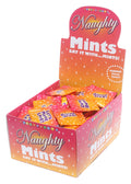 Naughty Mints Display Carton 100 3.1g Bags