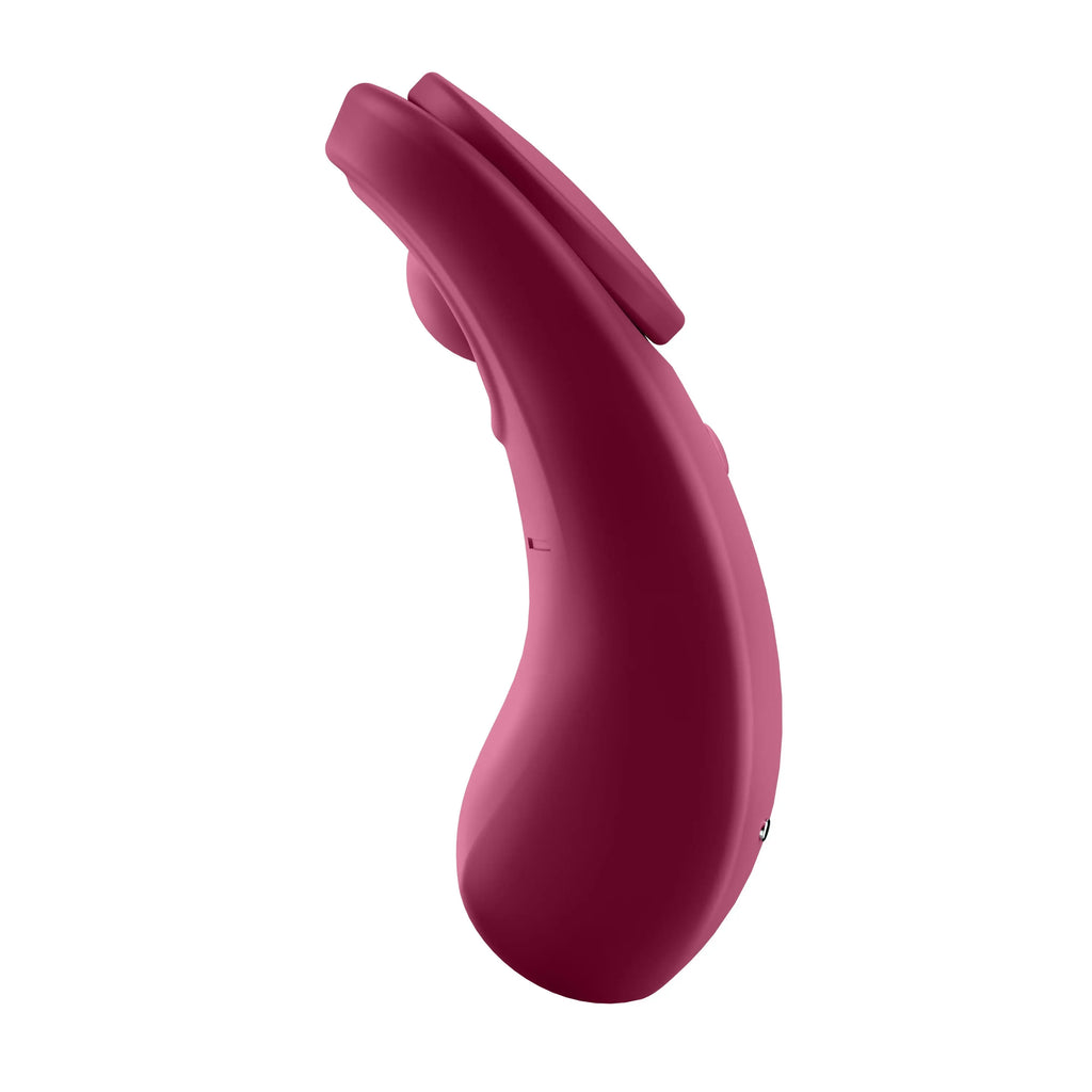 Sexy Secret - Panty Vibrator – body-safe materials | Fu'Cha Exotics