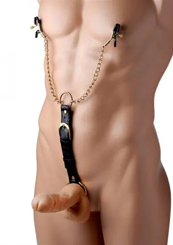 Metal nipple clamps with black accents and chain, cockring set