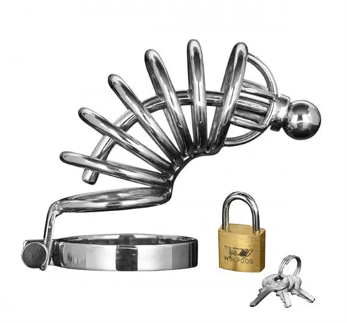 Stainless steel chastity cage with 4-ring design, padlock and keys