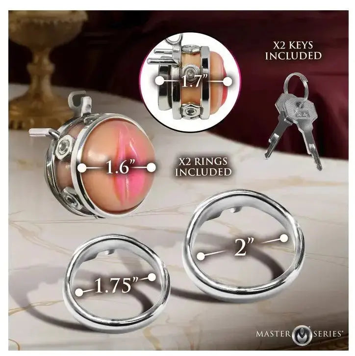 Pussy Boy Metal Chastity Cage - Silver – body-safe materials | Fu'Cha Exotics