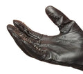 Medium vampire gloves in dark faux leather with stitched seams and finger panels
