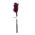 Sex and Mischief Feather Tickler - Purple – body-safe materials | Fu'Cha Exotics