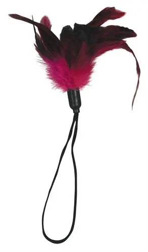 Feather wand with maroon and pink feathers and a black cord handle