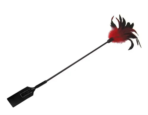 Feather slapper toy with red and black feather tuft on black handle