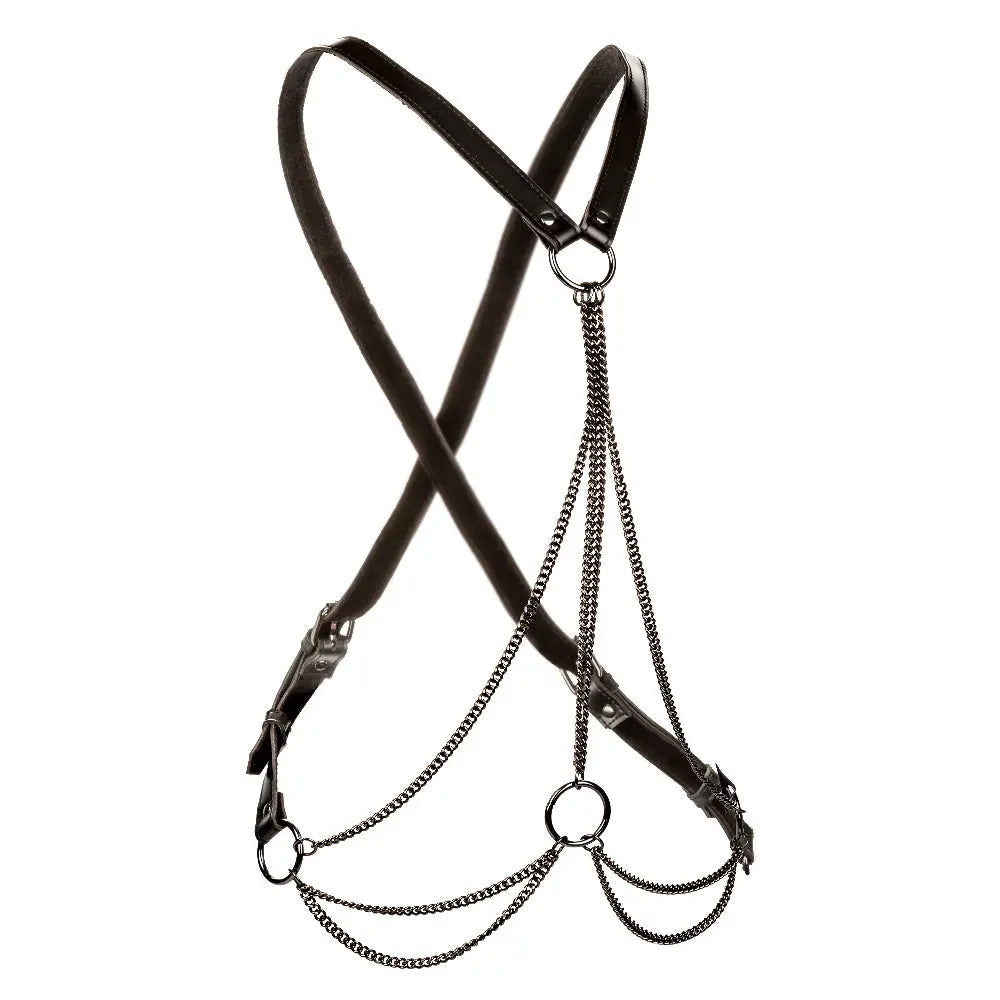 Euphoria Collection Multi Chain Harness - Black – body-safe materials | Fu'Cha Exotics