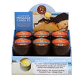 Pre Pack - 12pc Summer Candle Display - 6oz - With Tester