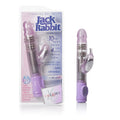 Thrusting rabbit vibrator with multi-speed settings, in purple and silver.