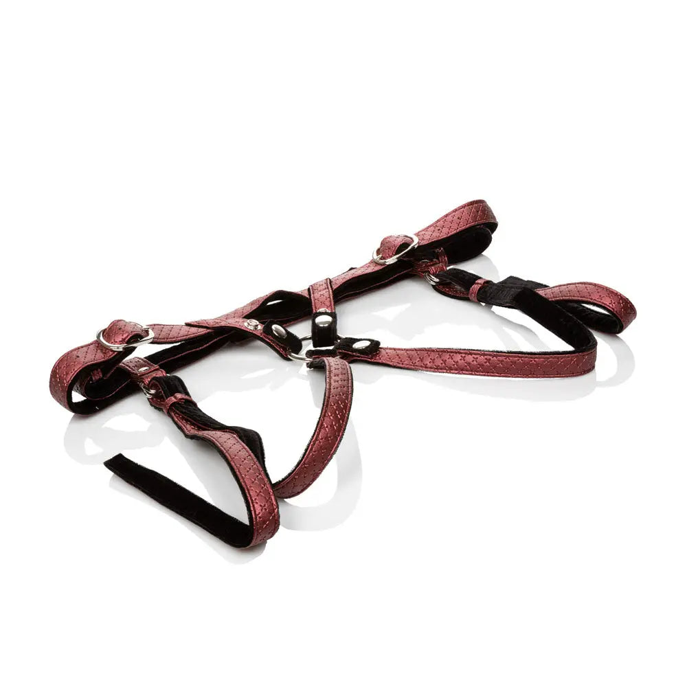 Her Royal Harness the Regal Duchess - Red – body-safe materials | Fu'Cha Exotics