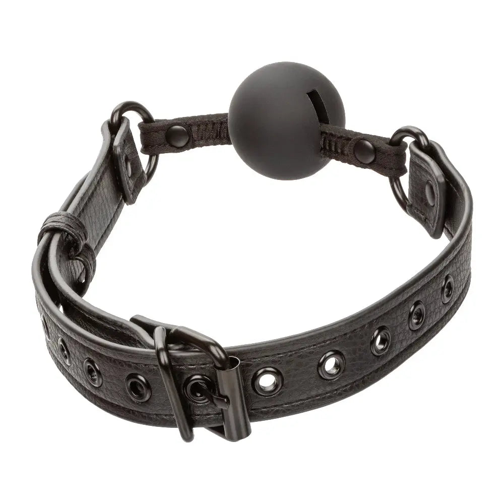 Nocturnal Collection Ball Gag - Black – body-safe materials | Fu'Cha Exotics