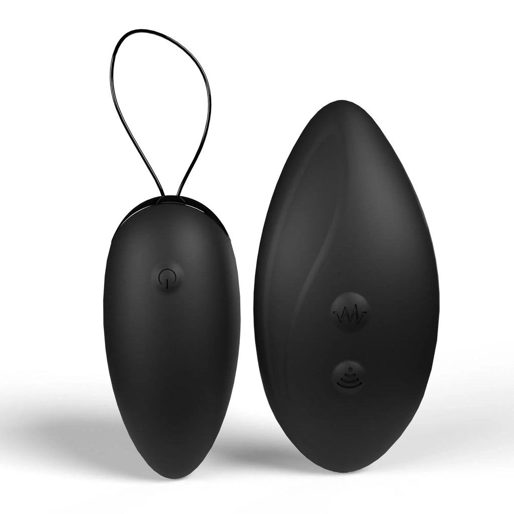 Premium Dual Vibe Remote and Egg - Black – body-safe materials | Fu'Cha Exotics