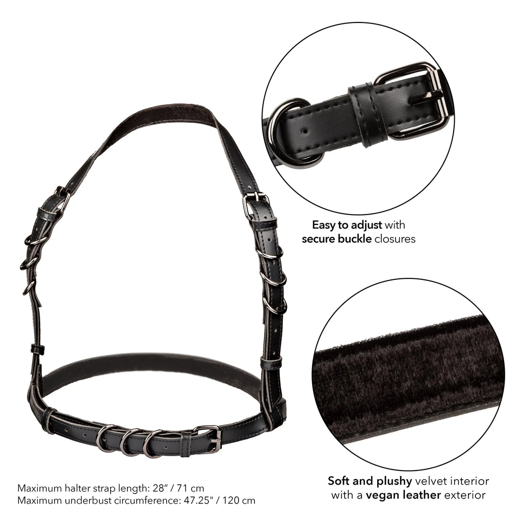 Euphoria Collection Plus Size Halter Buckle Harness - Black – body-safe materials | Fu'Cha Exotics
