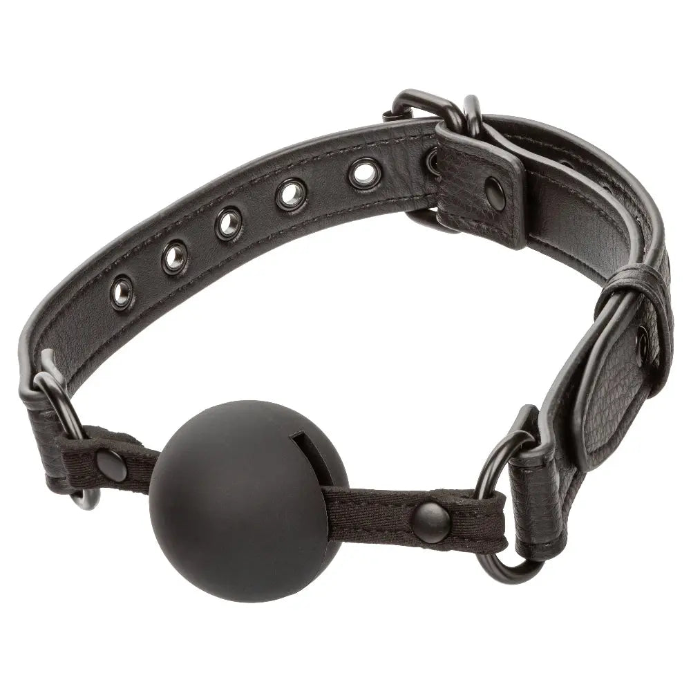 Nocturnal Collection Ball Gag - Black – body-safe materials | Fu'Cha Exotics